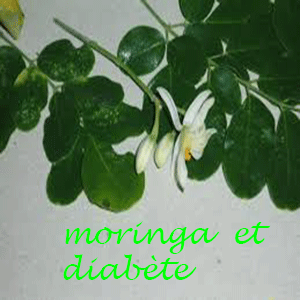 Quelle est la meilleure façon de prendre du Moringa pour le diabète?